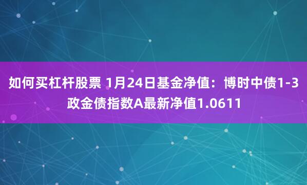 如何买杠杆股票 1月24日基金净值：博时中债1-3政金债指数A最新净值1.0611