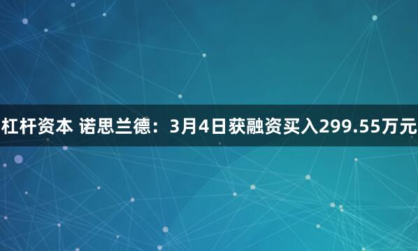   杠杆资本 诺思兰德：3月4日获融资买入299.55万元