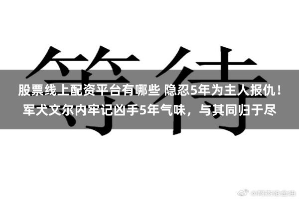   股票线上配资平台有哪些 隐忍5年为主人报仇！军犬文尔内牢记凶手5年气味，与其同归于尽