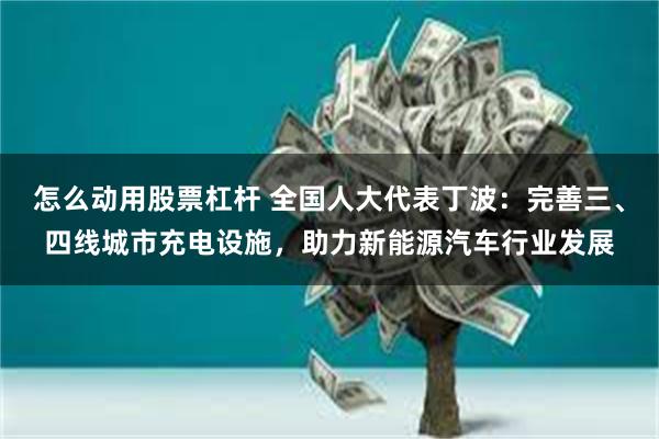   怎么动用股票杠杆 全国人大代表丁波：完善三、四线城市充电设施，助力新能源汽车行业发展