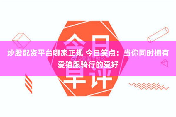  炒股配资平台哪家正规 今日笑点：当你同时拥有爱猫跟骑行的爱好