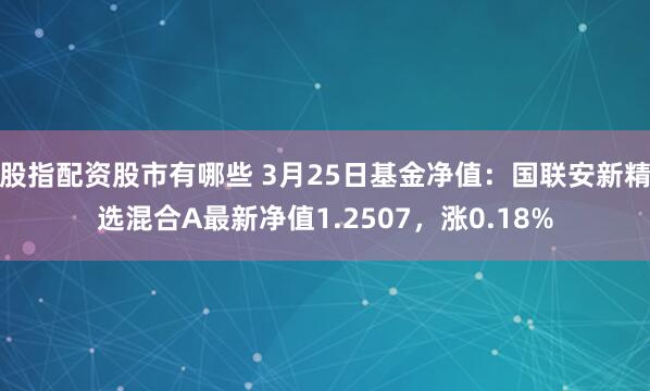 股指配资股市有哪些 3月25日基金净值：国联安新精选混合A最新净值1.2507，涨0.18%