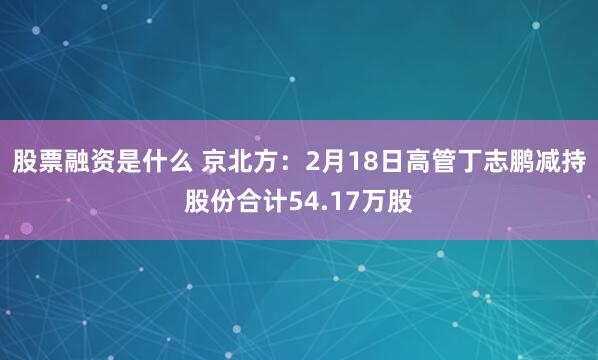   股票融资是什么 京北方：2月18日高管丁志鹏减持股份合计54.17万股