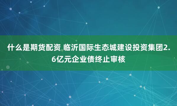   什么是期货配资 临沂国际生态城建设投资集团2.6亿元企业债终止审核