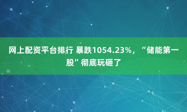 网上配资平台排行 暴跌1054.23%，“储能第一股”彻底玩砸了