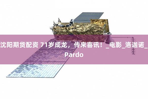 沈阳期货配资 71岁成龙，传来喜讯！_电影_洛迦诺_Pardo
