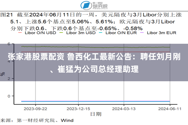 张家港股票配资 鲁西化工最新公告：聘任刘月刚、崔猛为公司总经理助理