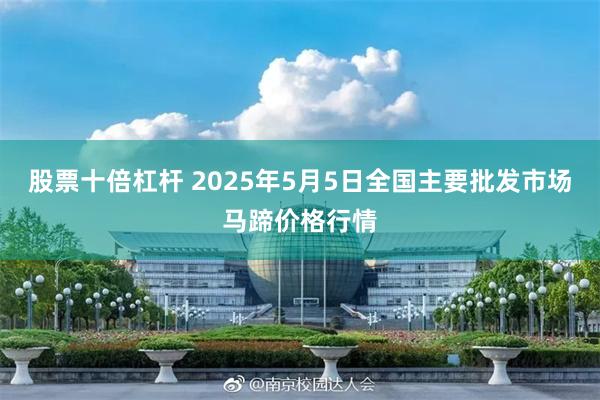 股票十倍杠杆 2025年5月5日全国主要批发市场马蹄价格行情