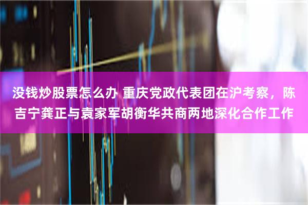 没钱炒股票怎么办 重庆党政代表团在沪考察，陈吉宁龚正与袁家军胡衡华共商两地深化合作工作