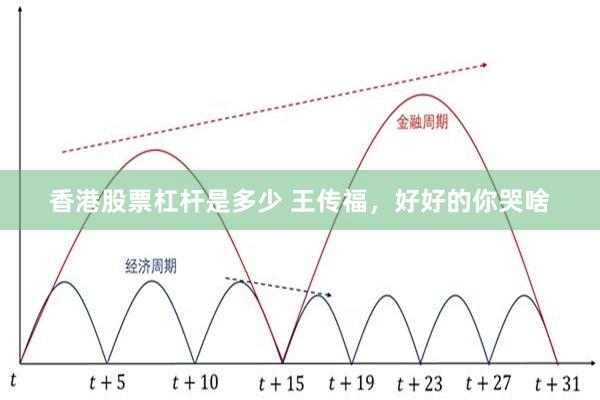 香港股票杠杆是多少 王传福，好好的你哭啥