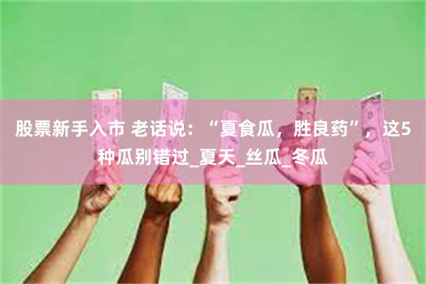 股票新手入市 老话说：“夏食瓜，胜良药”，这5种瓜别错过_夏天_丝瓜_冬瓜