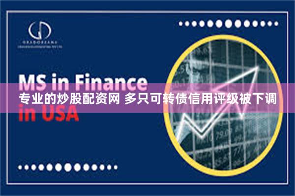 专业的炒股配资网 多只可转债信用评级被下调