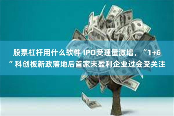 股票杠杆用什么软件 IPO受理量激增，“1+6”科创板新政落地后首家未盈利企业过会受关注