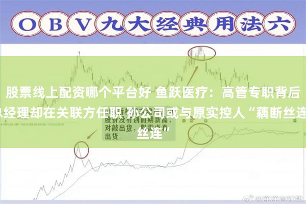 股票线上配资哪个平台好 鱼跃医疗：高管专职背后总经理却在关联方任职 孙公司或与原实控人“藕断丝连”