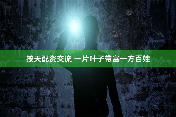 按天配资交流 一片叶子带富一方百姓